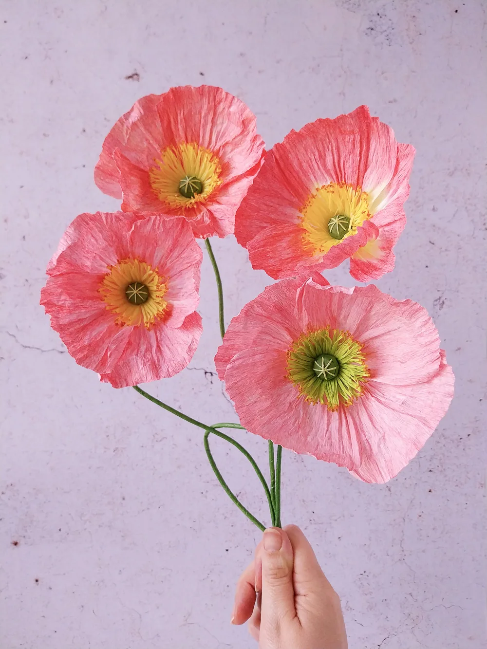 Pavot rose-corail à cœur jaune – Image 6