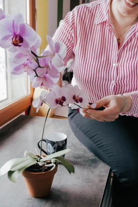 une orchidée en papier belle comme une vraie